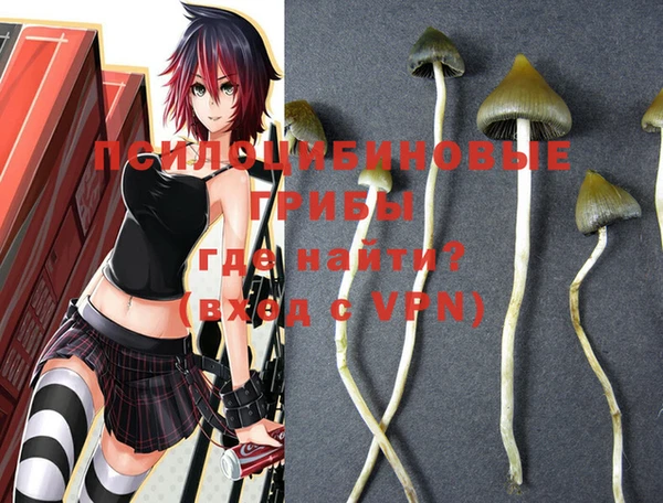 твердый Щучье
