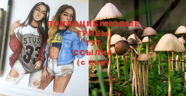 твердый Щучье