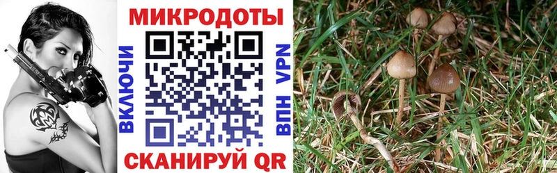 Псилоцибиновые грибы MAGIC MUSHROOMS  omg ссылки  Тольятти  наркотики 