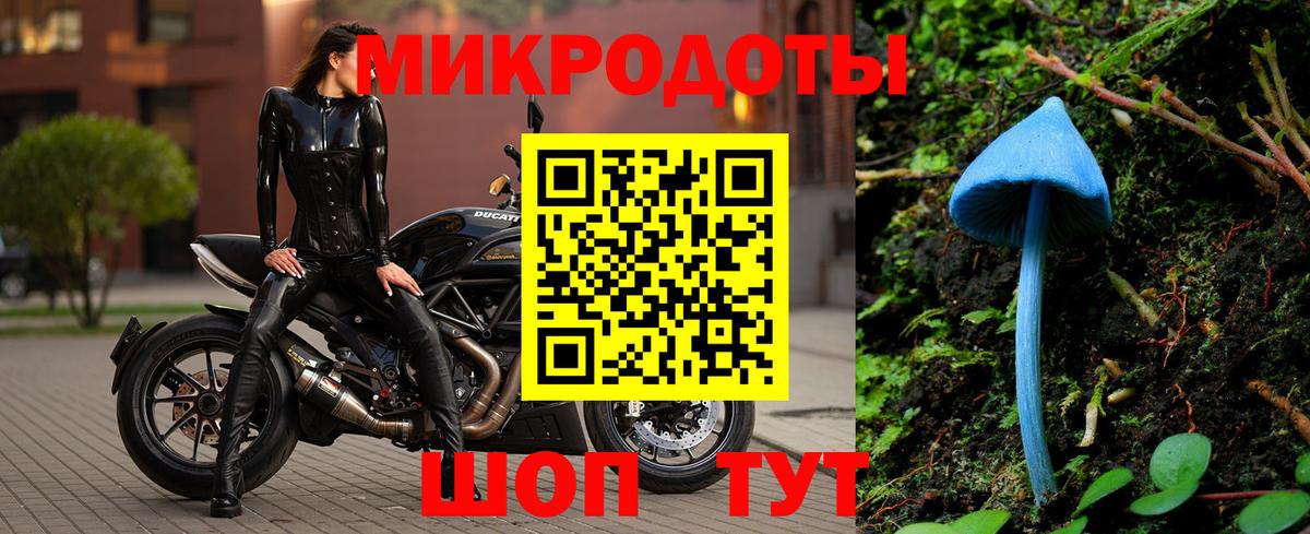 Галлюциногенные грибы мицелий Тольятти