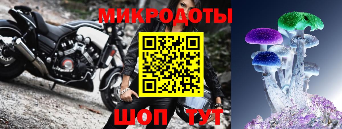 Галлюциногенные грибы Psilocybe  Тольятти 
