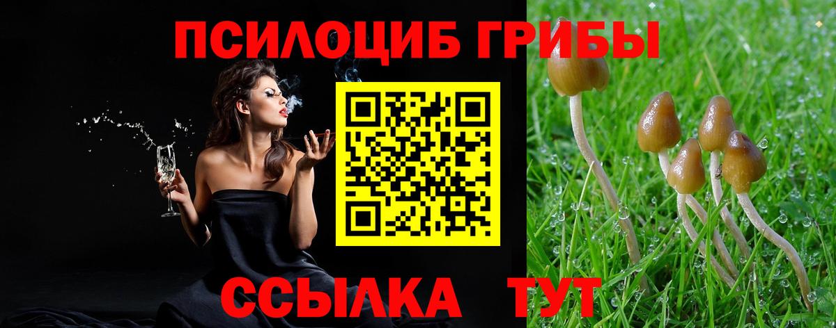 Галлюциногенные грибы GOLDEN TEACHER  Псилоцибиновые грибы мухоморы  Вход с VPN  Тольятти 