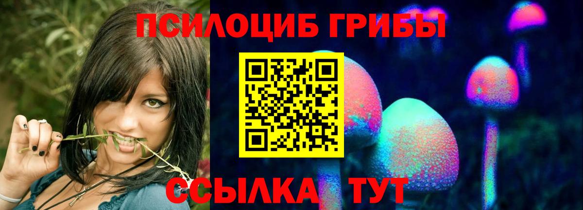 Галлюциногенные грибы Magic Shrooms Тольятти